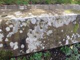 image of grave number 171049